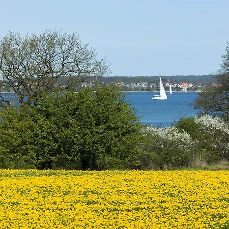 Gastehaus Callsen